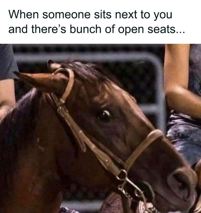Horse with a skeptical look, paired with a relatable meme about awkward seating choices, embodying "Evil Kermit" humor.
