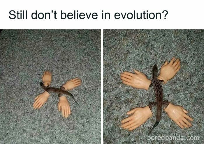 Still Don't Believe?