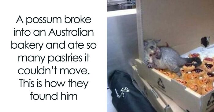 50 Hilariously Relatable Memes About Food Shared On This FB Page (New Pics)