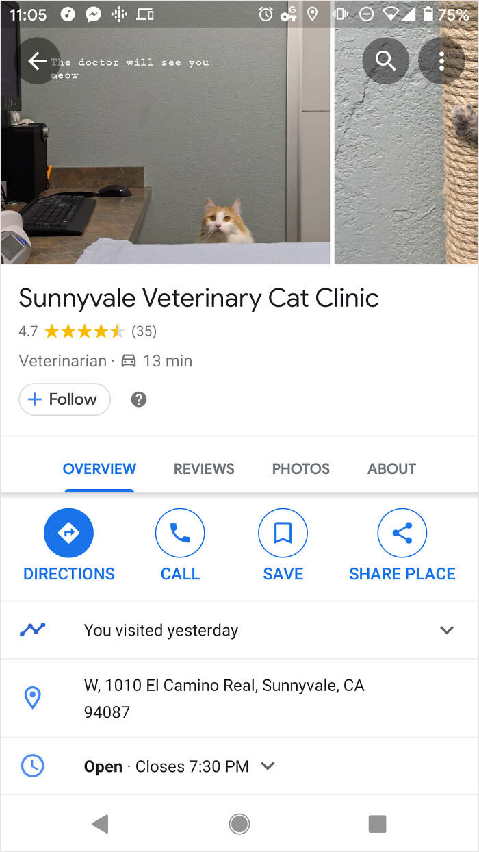 Google Maps Approved My Photo For The Vet