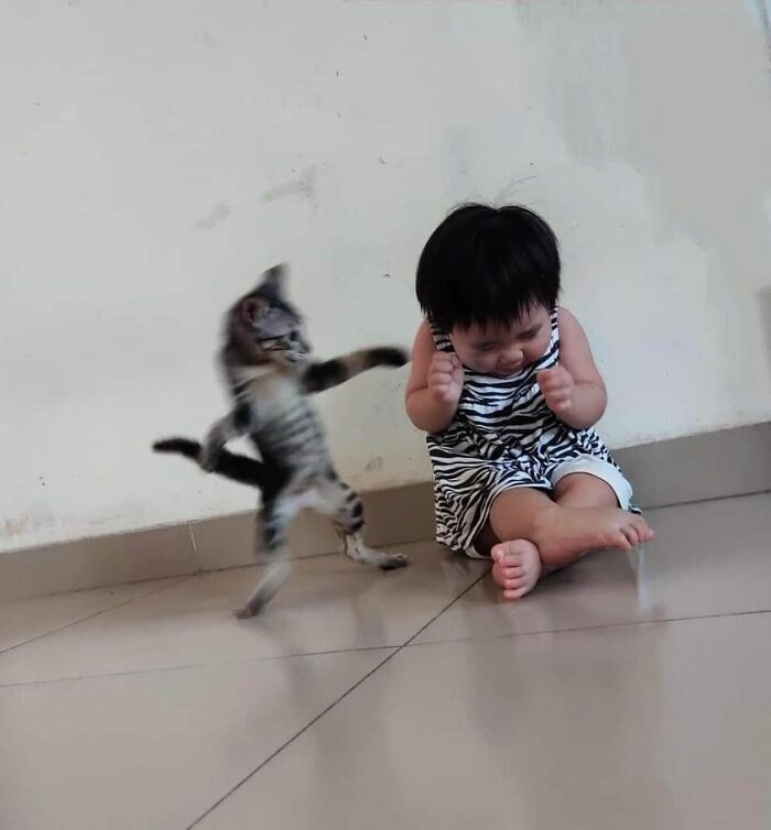 Funny-Important-Animals-Images