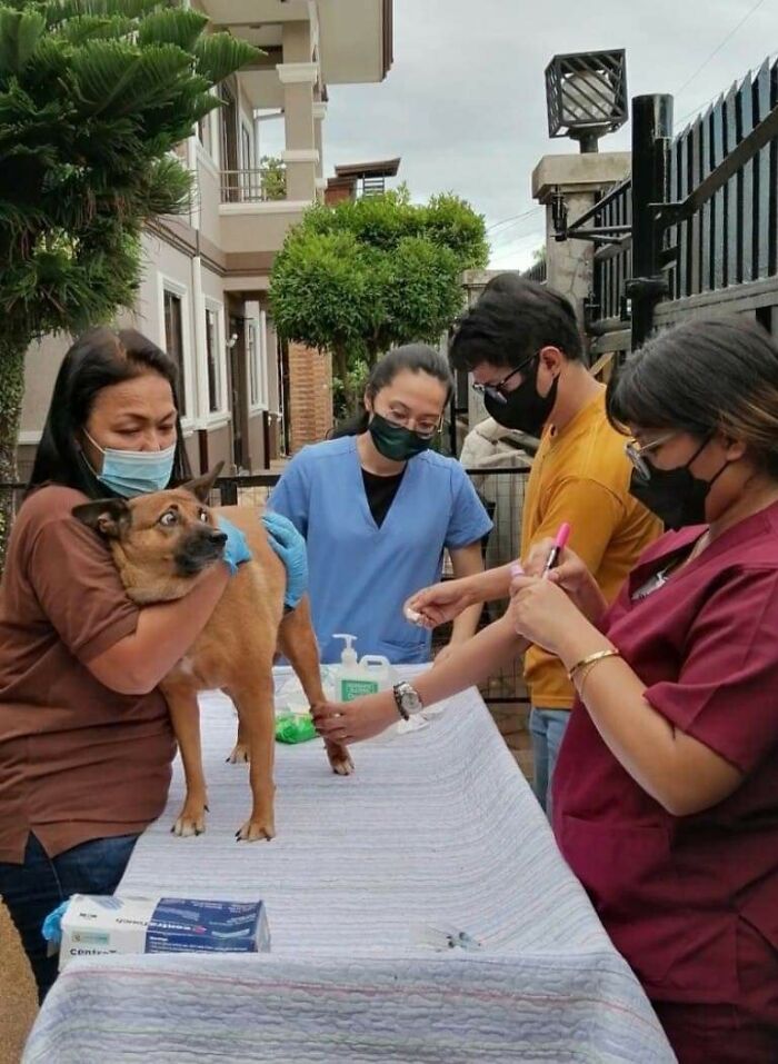 Funny-Important-Animals-Images