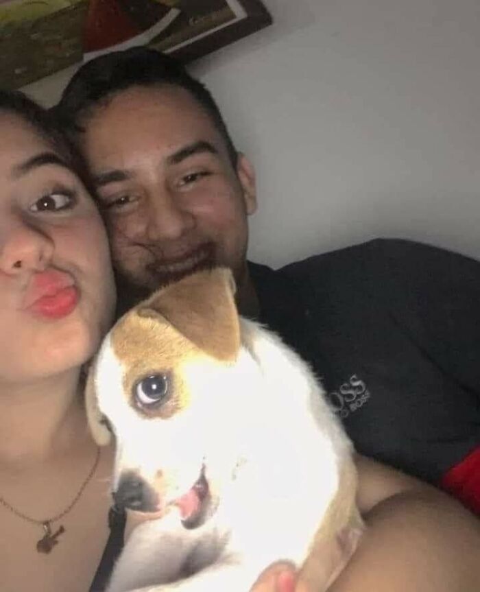 Funny-Important-Animals-Images