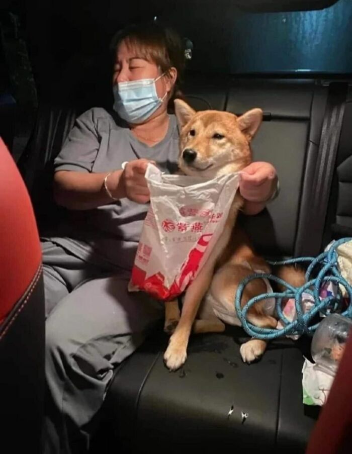 Funny-Important-Animals-Images