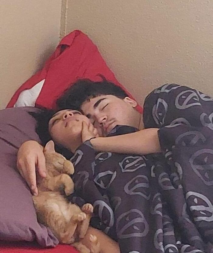 Funny-Important-Animals-Images