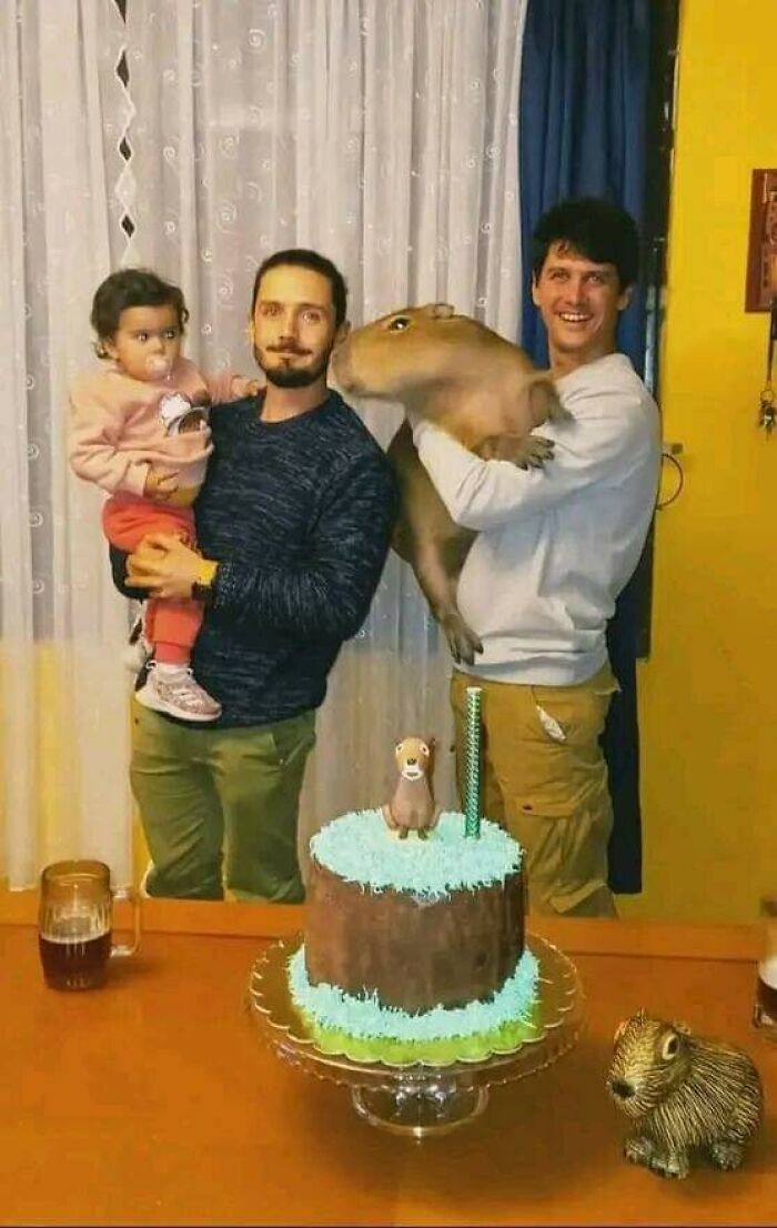 Funny-Important-Animals-Images