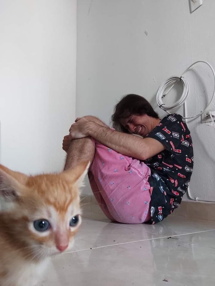 Funny-Important-Animals-Images