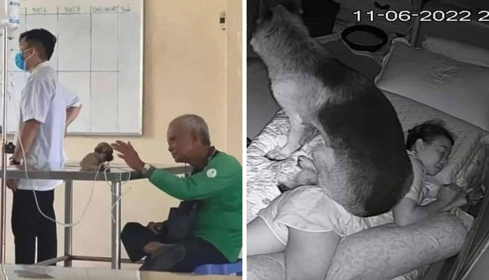 50 Awesome Animal Photos That Were Too Important Not To Share (New Pics)