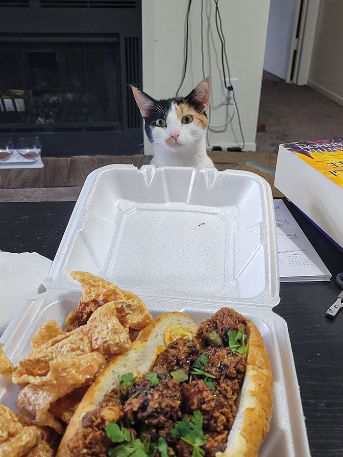 I Think She Was A Little Jealous