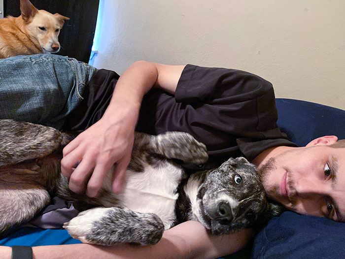 We Got A New Puppy (The One Cuddling With My Husband). I Don’t Think Max (The One Staring Jealous Daggers) Has Forgiven Us Yet