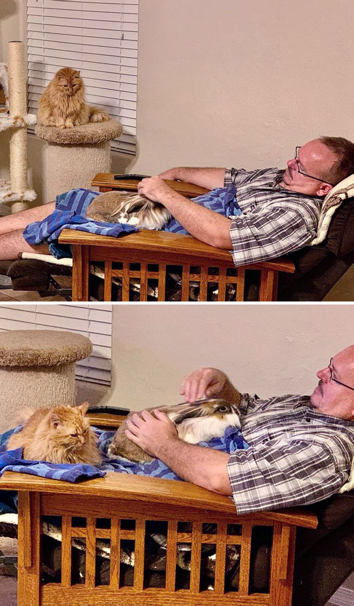 I Am Such A Jealous Cat When It Comes To Time With My Dad Lately