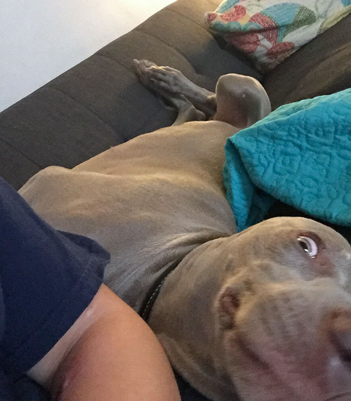 He Was Jealous Because I Was Giving My Snake Attention And Not Him