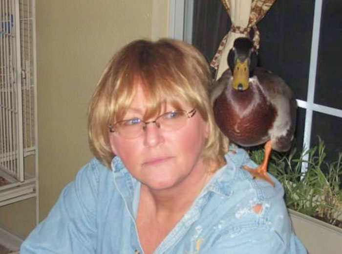 Howard Was Always Jealous Of Our Parrots When I Was A Kid