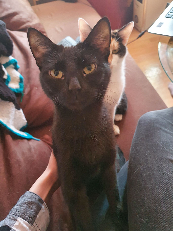 I Think Someone's A Little Jealous