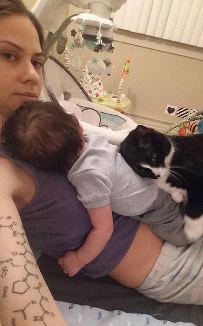 Celoso del nuevo miembro de la casa