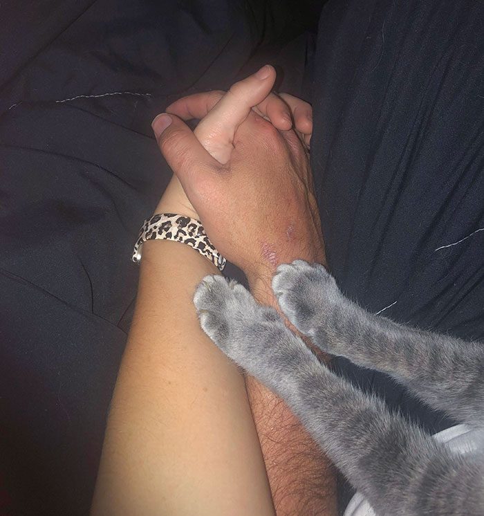 Alguien estaba celoso