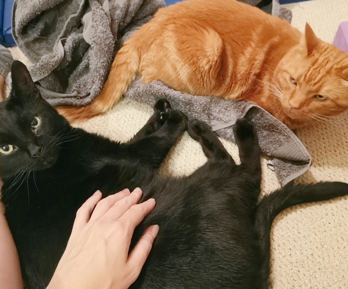 Why Is He Getting All The Attention?