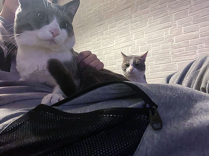 Somebody Is A Little Jealous