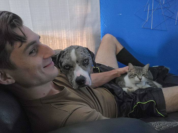 Our Dog Gets Jealous When Our Cat Sits With My Husband