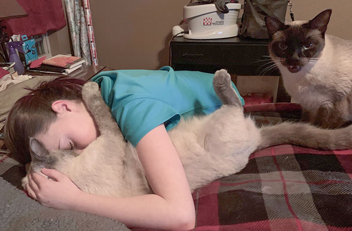 Serious Jealousy Over The Snuggles, Apparently