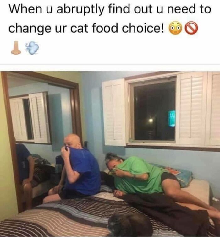 Funny-Kitty-Litterposting-Pics