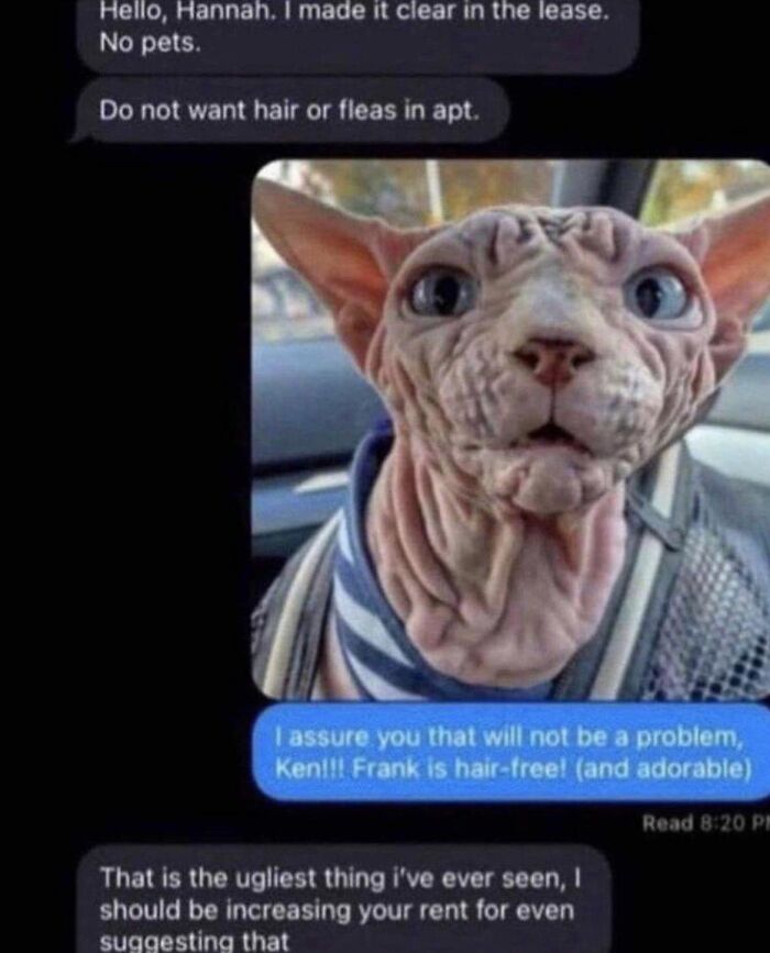 Funny-Kitty-Litterposting-Pics