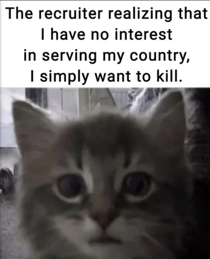 Funny-Kitty-Litterposting-Pics