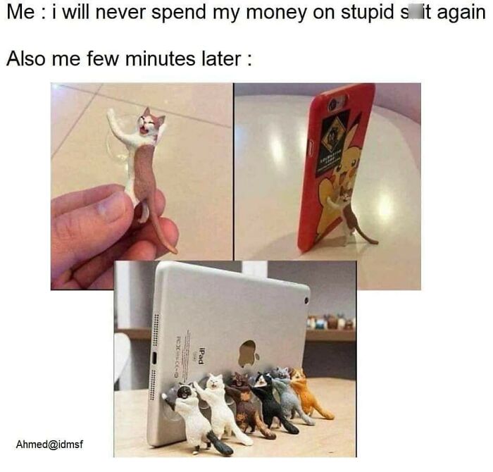 Funny-Kitty-Litterposting-Pics