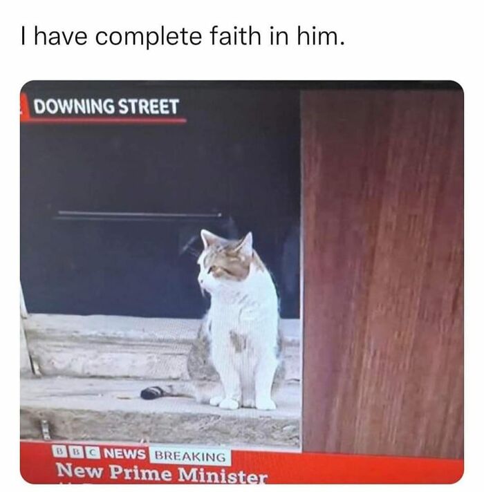 Funny-Kitty-Litterposting-Pics