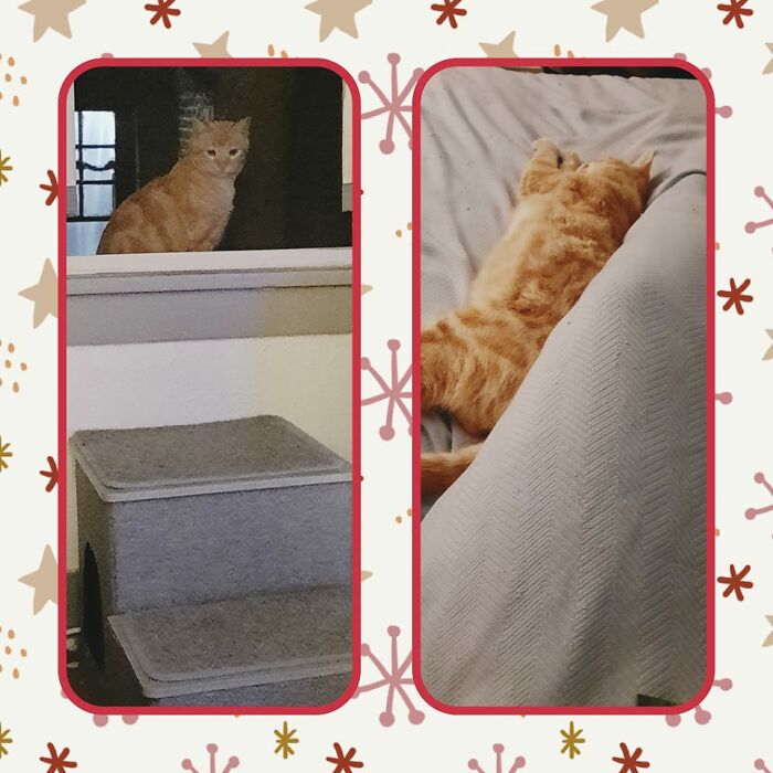 Mhnmc Has Come For A Visit Again! Instead Of The Door, He Has Opted To Use The Window Entrance This Time