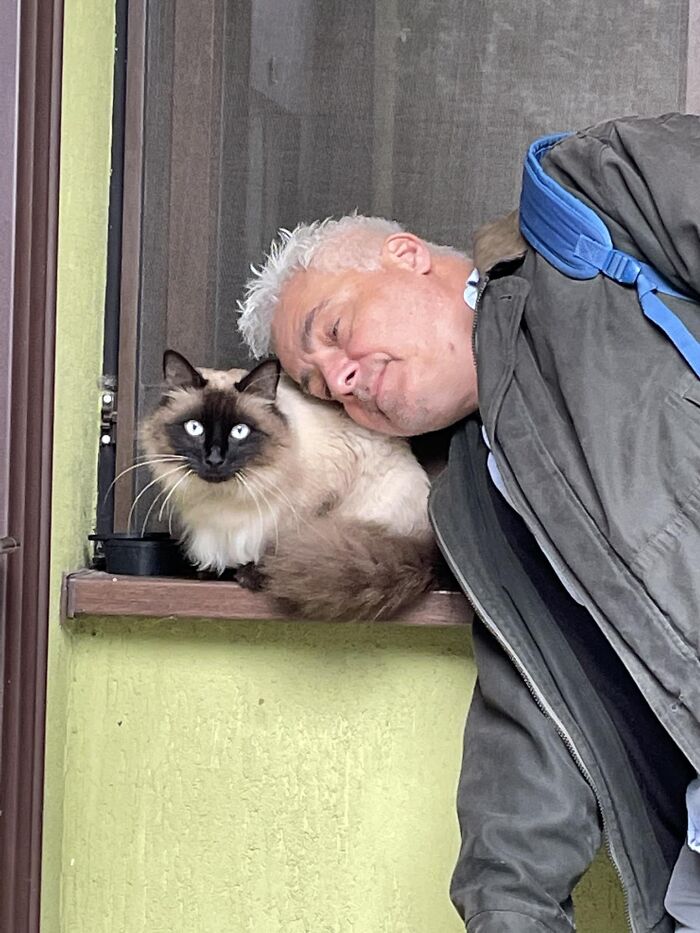 Hi, Thanks For Adding Me To The Group. This Is Our House, Not Our Cat. We Call Her Susan, She Lives In The Neighborhood And Visits Regularly For A Treat