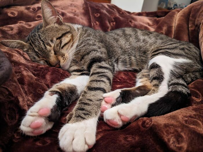 MHNMC Now Sneaks Under The Covers Of Everyone's Beds Uninvited