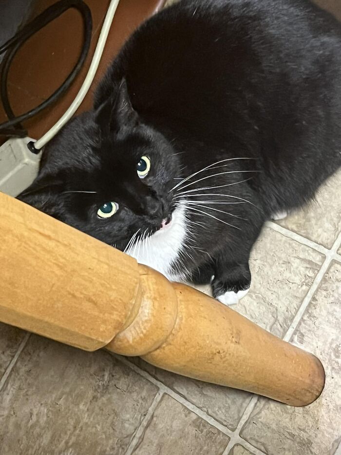 This One Decided They Wanted To Come In