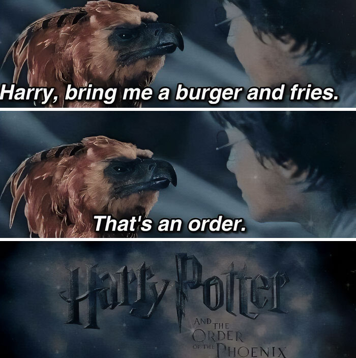 "Meme with a magical creature humorously commanding Harry for fast food in a nerdy twist."