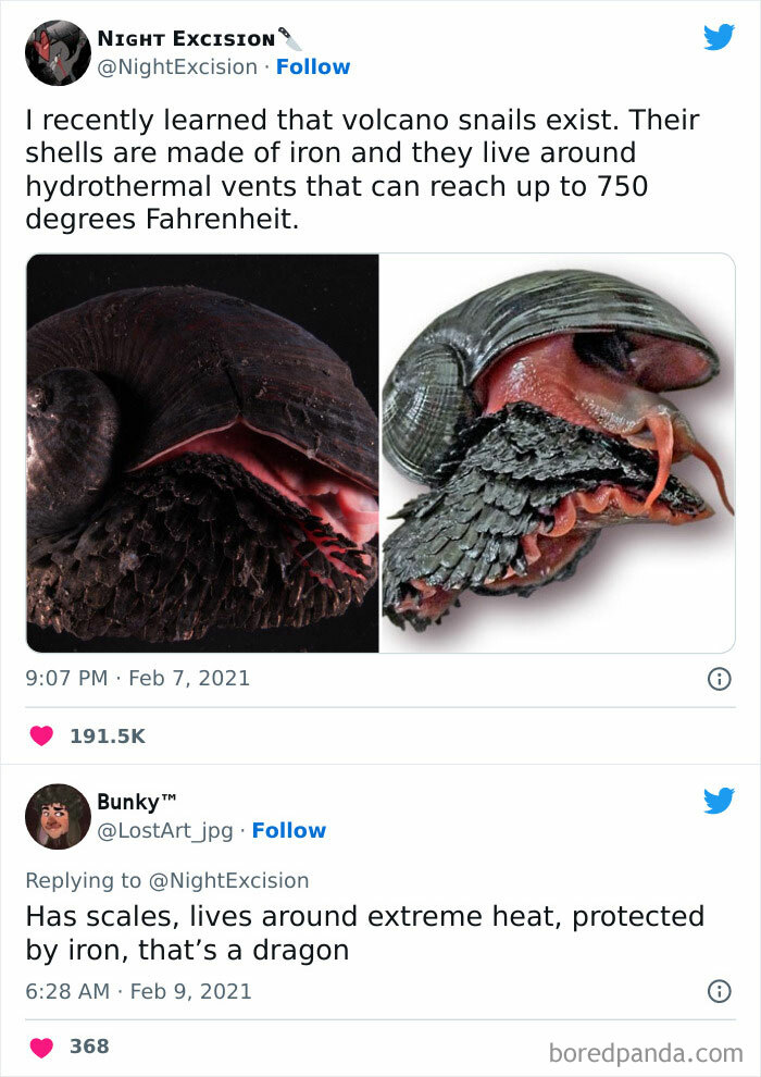Volcano snail meme highlighting its iron shell and extreme heat habitat, shared in a Facebook group for nerds.