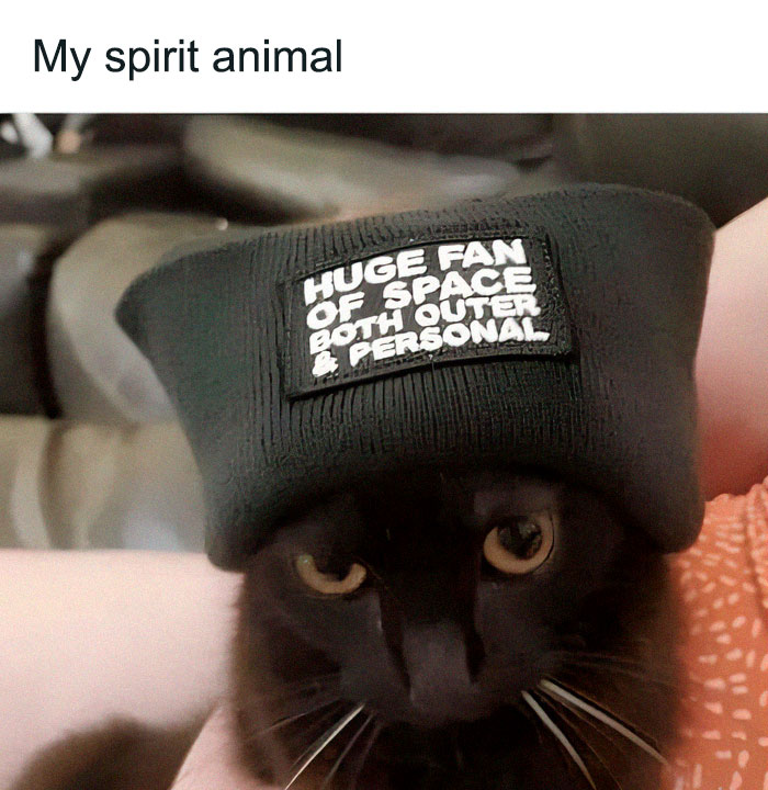 Funny-Nerdy-Memes-Motherofallnerds