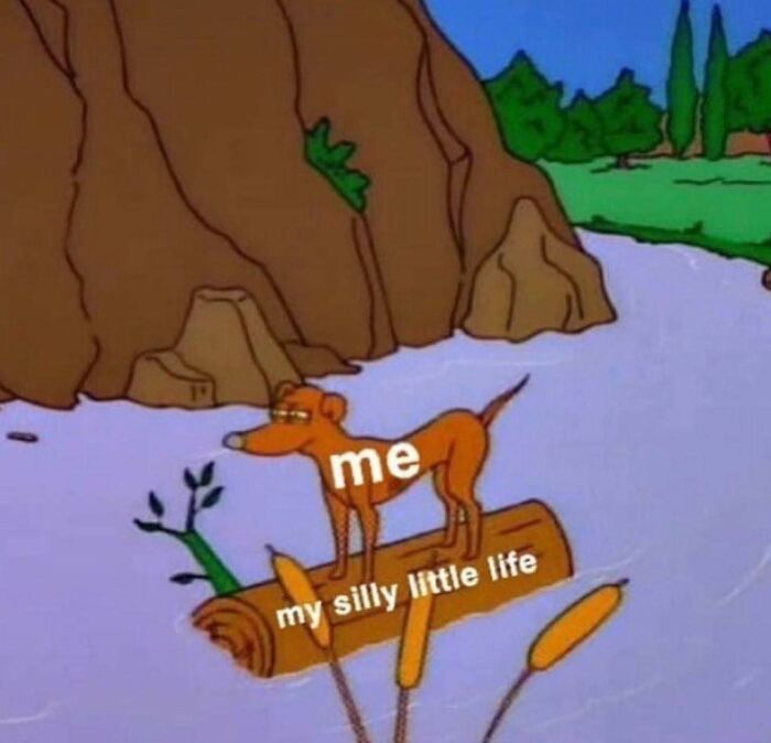 Funny-Relatable-Therapy-Memes-Alarming-Content