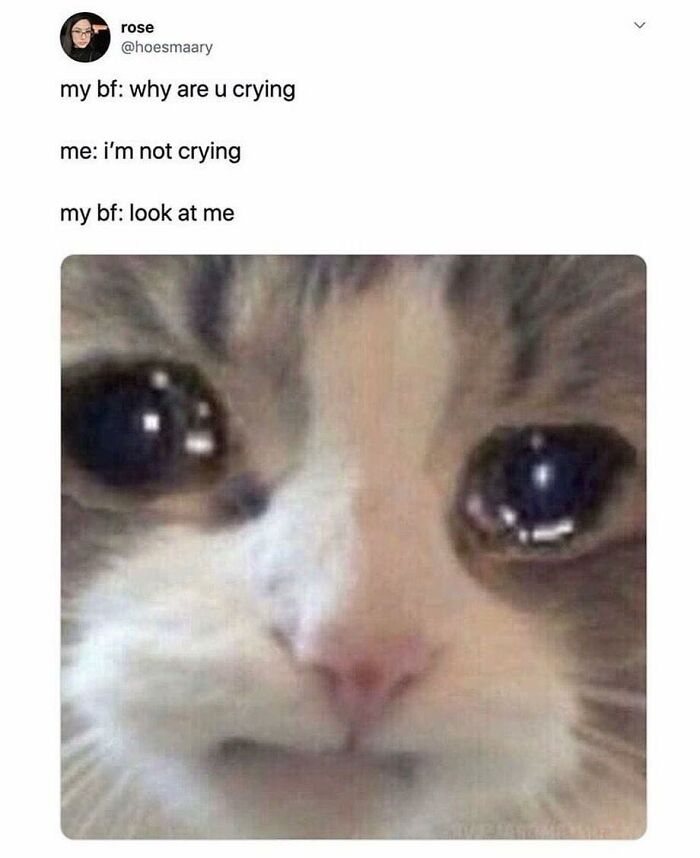 Funny-Relatable-Therapy-Memes-Alarming-Content