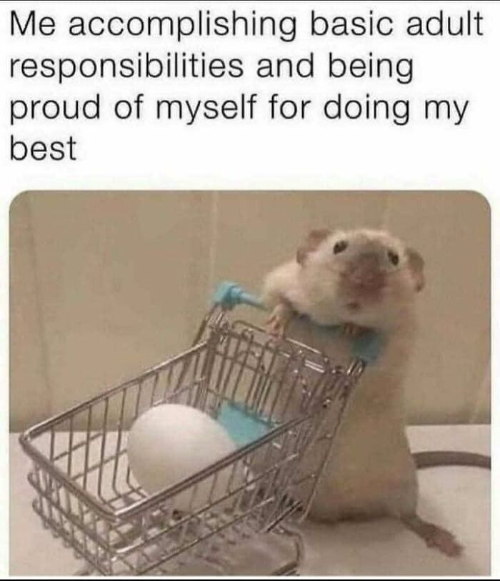 Funny-Relatable-Therapy-Memes-Alarming-Content