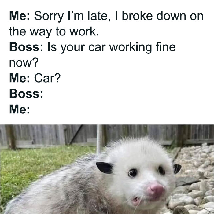 Office life meme featuring a surprised opossum reacting to a humorous conversation about being late to work.