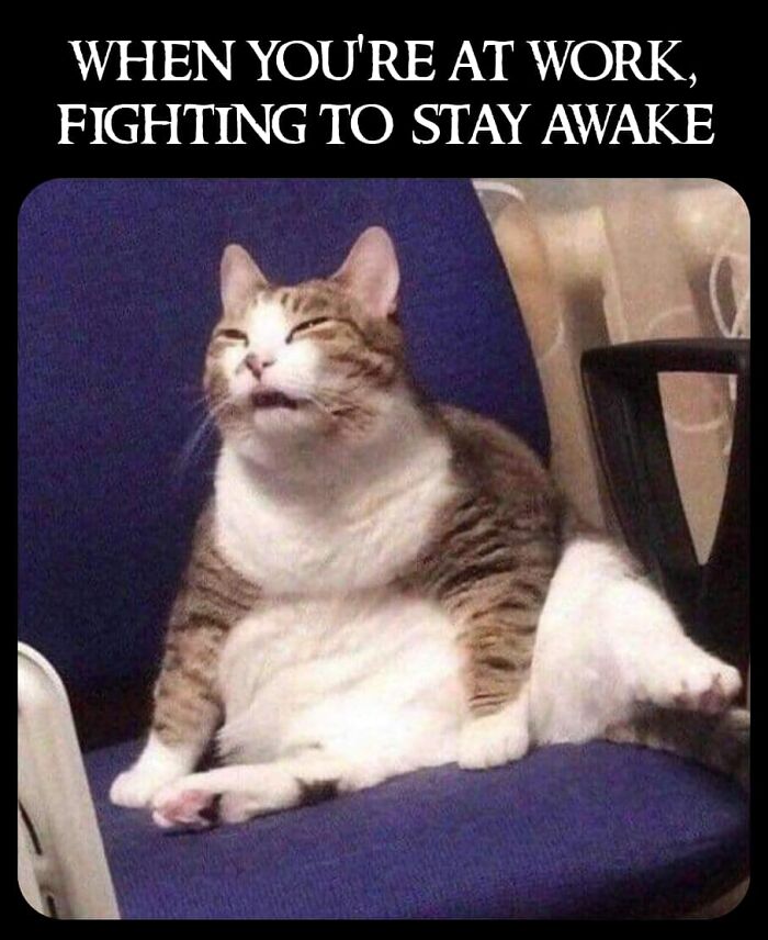 Funny-Relatable-Work-Memes-Jokes