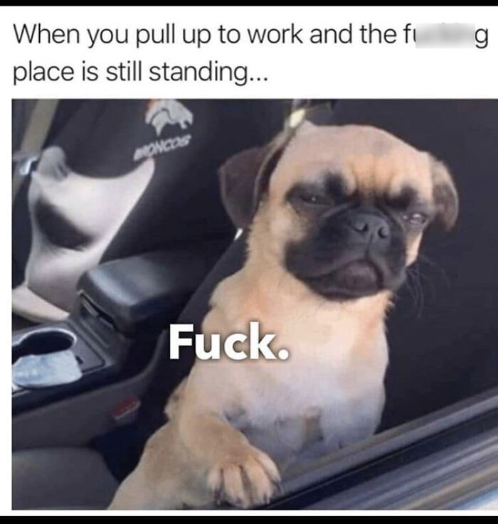 Funny-Relatable-Work-Memes-Jokes