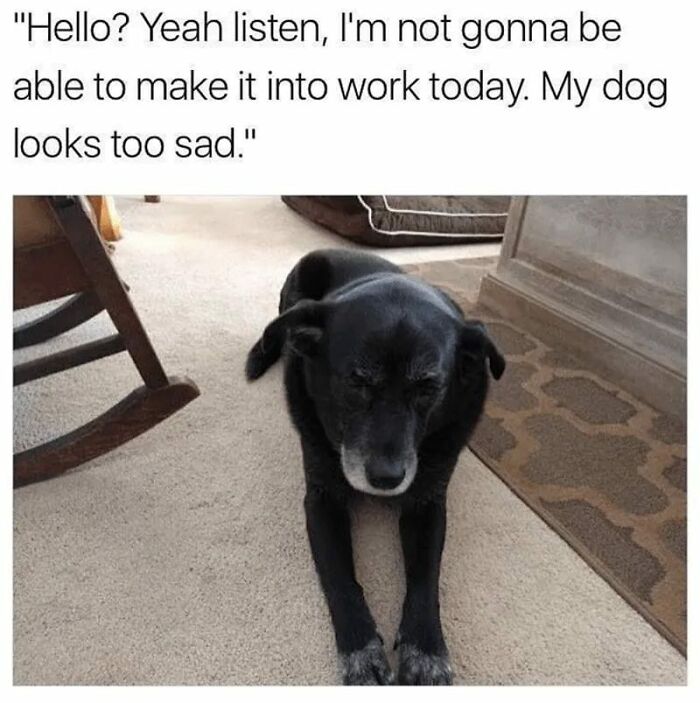 A humorous office life meme featuring a sad black dog lying on the carpet.