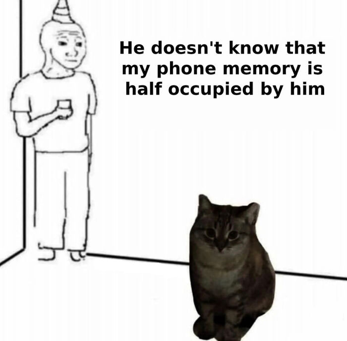 Funny-Respectful-Memes