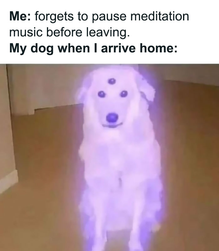 Funny-Respectful-Memes