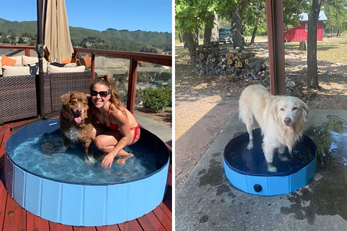 Este anuncio de Facebook decepcionó hasta a mi perro