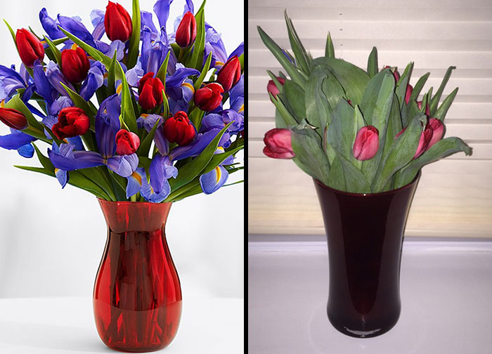 Mi hermoso pedido de ProFlowers