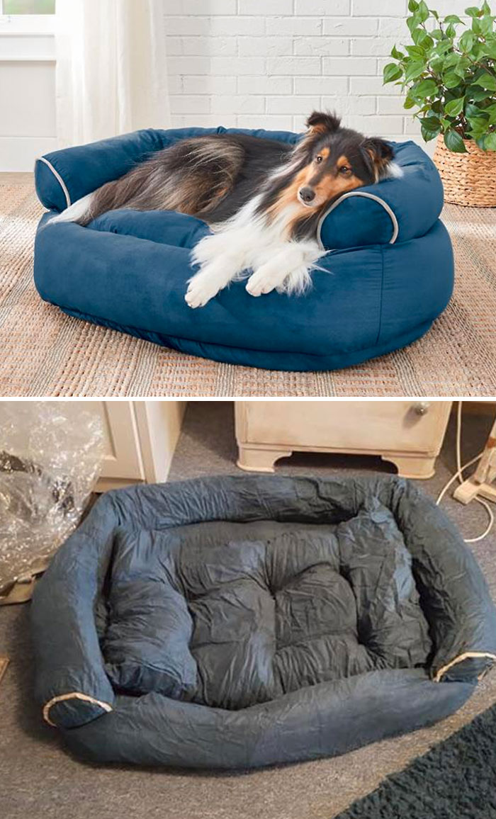 La cama para perros que encargó mi madre por 99€