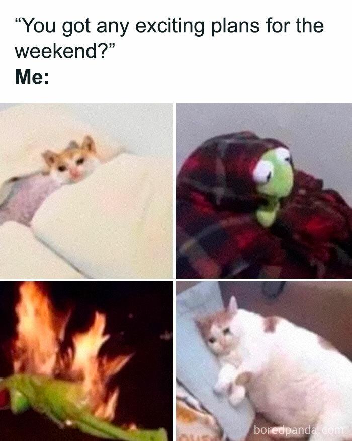 Funny-Sleeping-Memes-Narcoleptic-Goddess