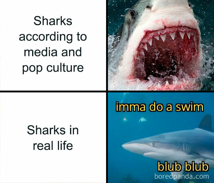 Funny-Smart-Memes-Memesonscience